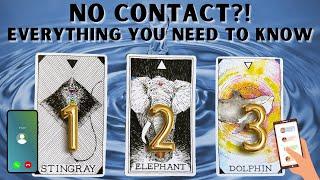 No Contact?! What You Need To Know In-Depth Reading Pick A Card