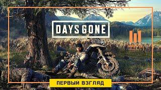 Days Gone  Первый взгляд [4k 60ᶠᵖˢ]