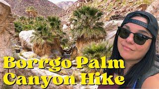 Borrego Palm Canyon Trail - Anza Borrego State Park