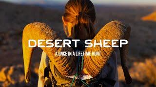 Desert Sheep: A Mountain Project Short Film