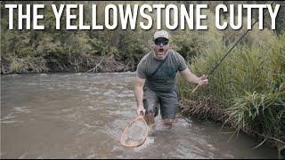 Yellowstone Cutthroat - Episode 13 Western Native Trout Challenge