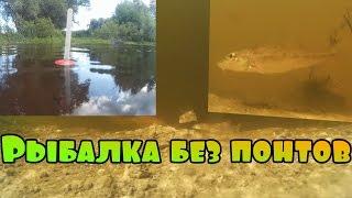 Рыбалка без понтов. Пескарь. Ловля пескаря летом.Gudgeon