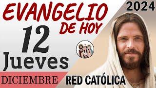 Evangelio de Hoy Jueves 12 de Diciembre de 2024 | REFLEXIÓN | Red Catolica