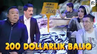 Dizayn jamoasi - 200 dollarlik baliqlar