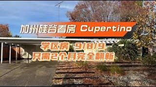 【硅谷买房日记】Cupertino学区房投资机会！1961年首次上市，翻新潜力巨大！加州硅谷旧房改造指南 | 顶级学区+日式枫叶庭院