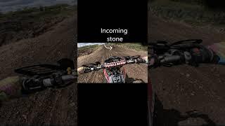 WHEN THERE'S STONES IN THE ROOST!