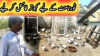 Tournament K Liye Kabootar Final | Pola G Pigeon Club