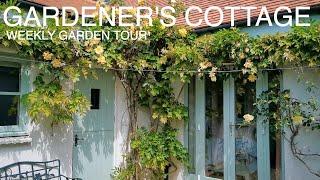 Cottage Garden Tour In May-Gardeners Cottage Blakeney #cottagegarden #gardeningvideos #gardentour