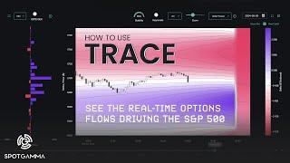 How To Use TRACE (S&P 500 Heatmap App) by SpotGamma