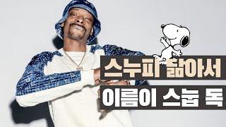 만만히 봤더니 알고보니 리얼 갱스터 출신?!? 랩퍼 스눕 독 Snoop Dogg 이야기 [메카아티스트 54화]