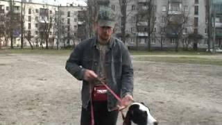 команда Рядом часть вторая