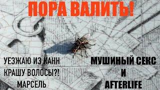 БеженецКанны. Пора валить! Уезжаю из Канн в Марсель! Еду на AfterlifeКрашу волосы?!Мушиный с@кс)