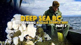 DEEP SEA BC S1 EP3 | GLASS SPONGE REEF | LING COD & ROCKFISH