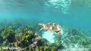 Lord Howe Island snorkelling and hiking views