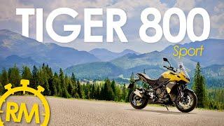 TIGER Sport 800 - Triumph Reveals All-New Sports-Tourer for 2025