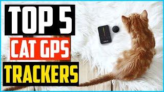 Top 5 Best Cat GPS Trackers Review In 2024