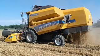 kombayn New Holland TD5. 90 Uzbekistan зерноуборочный комбайн #shorts #agriculture #short #agro