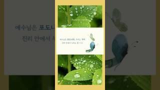 극동방송과 함께 하는 오디오 성경공부 마더와이즈 자유 #로고송 #포도나무 #예수님 #가지 #우리