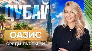 Путешествие ОАЭ: Где погулять в Дубае? Лучшая природа за пределами небоскрёбов!