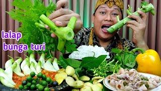 Jengkol " MUKBANG LALAPAN MENTAH SAMBEL TERASI ikan asin nasi hangat || pesta lalapan mentah