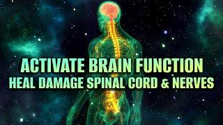 Activate Brain Function | Heal Damage To The Spinal Cord & Nerves | Strengthen Lower Back & Body