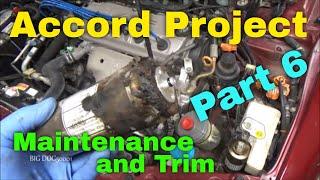 The Honda Accord Project (Part 6) - Maintenance and trim!