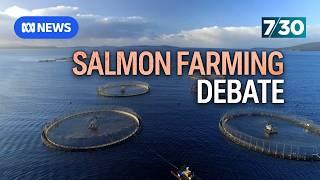 Tasmania's salmon industry is booming but what about its environmental impact? | 7.30