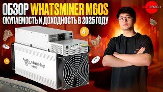 ОБЗОР WHATSMINER M60S | ОКУПАЕМОСТЬ И ДОХОДНОСТЬ В 2025 ГОДУ