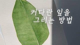 수채화 커다란 극락조 그리는 방법