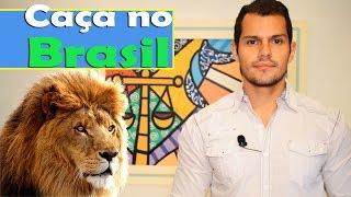 Caça no Brasil - Legal e Ilegal