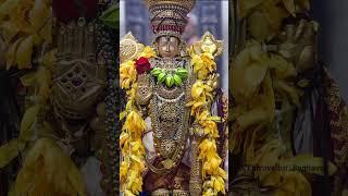 Thiruvallur Veeraraghava Perumal Temple|Sri Vaidhya Veera Raghava Perumal|Sri Kanakavalli Thayar