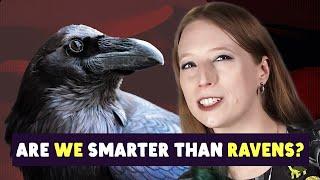 Can We Outsmart The Smartest Bird?