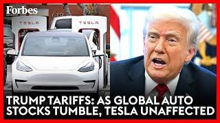 U.S. And Global Auto Stocks Tumble After Trump’s 25% Tariff Announcement