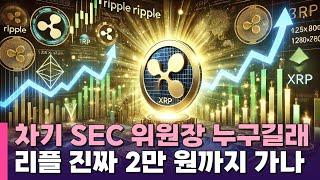 '친암호화폐' 폴 앳킨스 SEC 위원장 유력…리플, 진짜 2만 원까지 가나