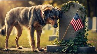 Dog refuses to leave a grave. When the police opened the grave, THEY WERE PARALYZED WITH FEAR