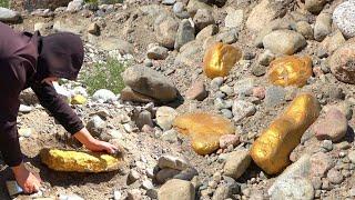 Digging for Treasure worth millions from Huge Nuggets of Gold