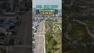 미군부대에서 도시숲으로? 드디어 문을 여는 춘천 캠프페이지! #캠프페이지 #도시숲공원 #춘천캠프페이지