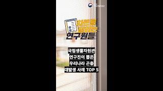 국립생물자원관 연구진이 뽑은 우리나라 곤충 대발생 사례 TOP 5 #shorts