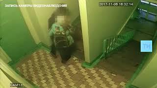 В Челнах три девочки скинули кошку с 14-го этажа, волонтеры пишут заявление в полицию