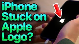 iPhone Stuck On Apple Logo? Here's The Fix!