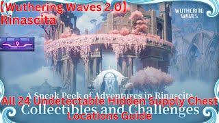 Rinascita All 24 Undetectable Hidden Supply Chest Locations Guide【Wuthering Waves 2.0】