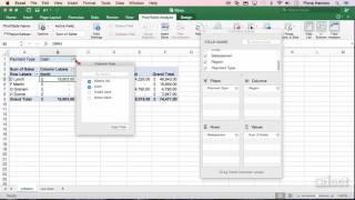 Filters - Excel 2016 Mac Level 2