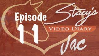 Stacy's Video Diary: Jac- Episode 11-lunging, teaching lope cue, teaching voice cues