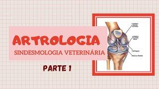 Articulação Veterinária (Sindesmologia) - PARTE 1 | Estude Veterinário