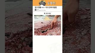 핑크색 맨홀 진짜 위험해요 ㅜㅜ #꿀팁 #생활정보 #핑크맨홀
