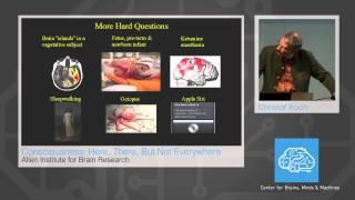 The Integrated Information Theory of Consciousness