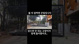 길냥이 한 마리만 잡아야 하는데 두 마리가 덫에 들어왔어요...