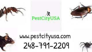 Pest Control Services in Detroit - Offering Safe & Secure Removal of Animals from the Home