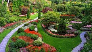 WOW! Ideas For Garden And Landscape Design Beautiful