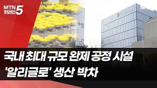 GC녹십자, FDA 인증 '오창공장' 발판 삼아 '알리글로' 사업 확장 / 머니투데이방송 (뉴스)